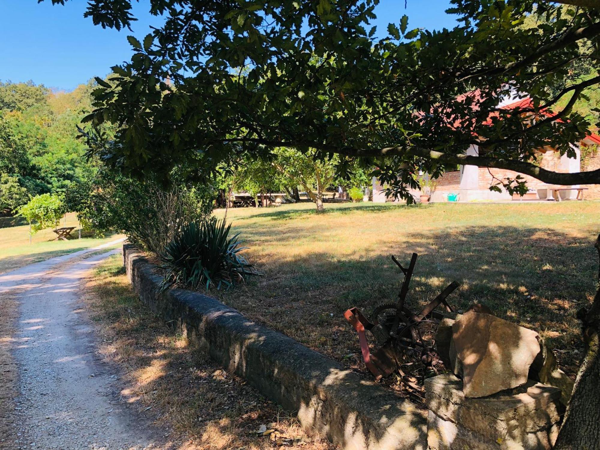 Aligvár Vendégház Salfold Exterior foto
